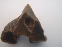 flint3.webp