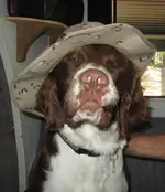 Sgt Bodie.webp Sgt Bodie.webp