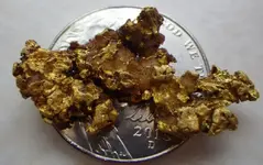nugget.webp