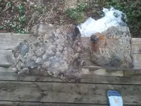 2014-04-08 10.00.39.webp 2014-04-08 10.00.39.webp
