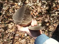 20140131_110901.webp