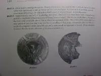 plate.webp