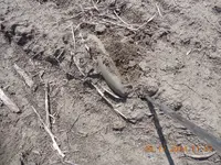 DSCN3795.webp