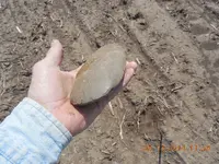 DSCN3798.webp