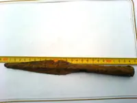 DSC00439.webp