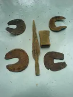 DSC00470.webp