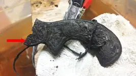 sword hilt.webp