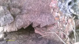 IMAG0765.webp