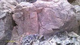 IMAG0764.webp
