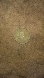 IMAG0327.webp