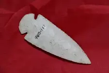 my other new dove.webp