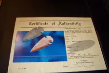 my new dove.webp