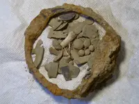 CIMG0478.webp