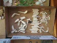2013-14 finds8.webp