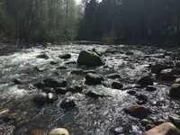 image-3325176603.webp