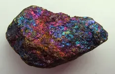 peacock ore.webp