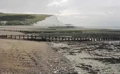 ebb tide.webp