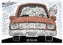 Florida-Lovebug-Cartoon.webp