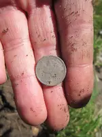 4 silver dimes 1 silver ring 004.webp