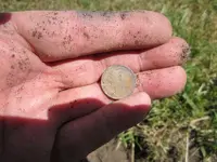 4 silver dimes 1 silver ring 007.webp