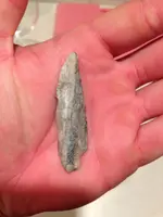 arrowhead-lanceoleate side view a.webp