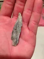 arrowhead-lanceolate side view b.webp