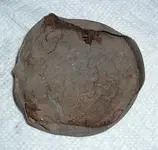 lid 001.webp