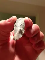 arrowhead-lanceoleate view from tip.webp