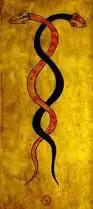 B&R Snakes.webp