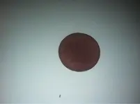 image-321120220.webp
