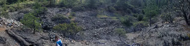 tailings2.webp