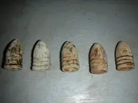 DSCN3136.webp