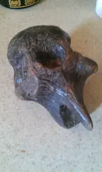 IMAG0204.webp