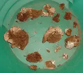 DSCF0006.webp DSCF0006.webp