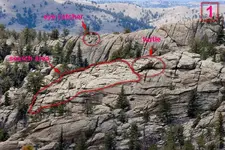 turtle-area-1.webp