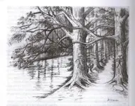 !Double _Eagle.webp