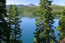 waldodell 036_RT8_2.webp
