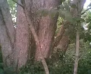 !!Photo008.webp