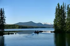 waldodell 024_RJ.webp