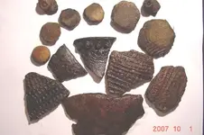 rvrbnk3a.webp