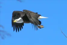 P2080047-Changed.webp