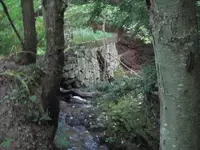 deer mill fields 012.webp