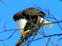 P2080046-Changed.webp