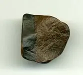 Rock.webp