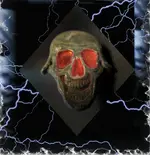 Skeleton Pin.webp