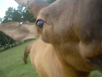 up close and personal.webp