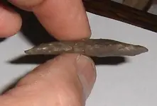 arrowhead2.webp