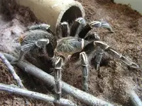 Picture 043 (Small).webp