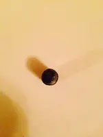 bullet3.webp