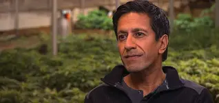 gupta-marijuana-reddit-03-13-720x340.webp